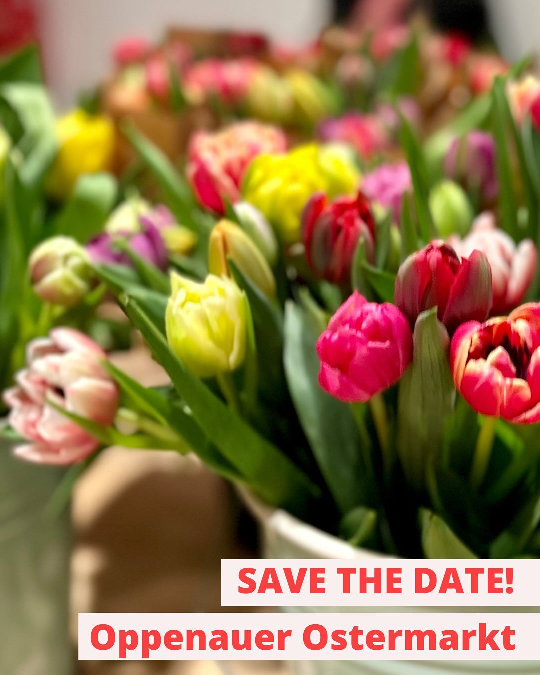 Das Foto zeigt eine Nahaufnahme von Tulpen in verschiedenen Farben. Unter dem Blumenstrauß steht der Text "SAVE THE DATE! Oppenauer Ostermarkt".