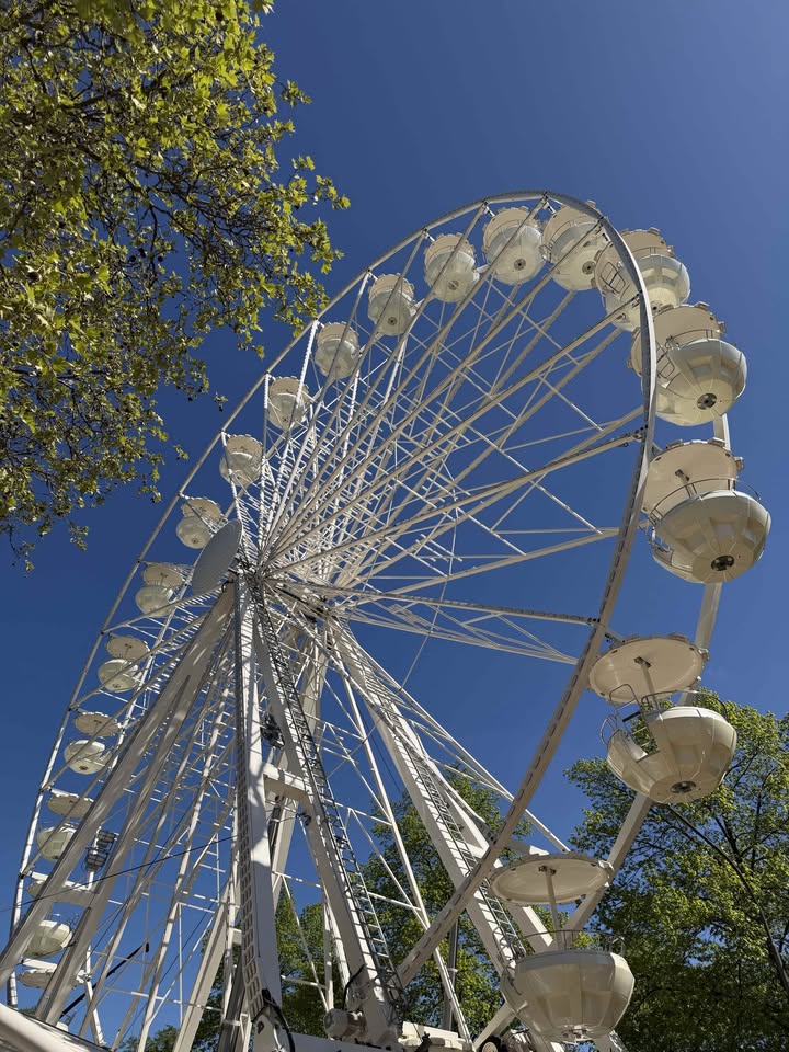 Dieser Alternativtext wurde KI-generiert: Ein großes Riesenrad ragt in einen klaren, blauen Himmel. Im Vordergrund sind grüne Blätter und Baumkronen zu sehen.